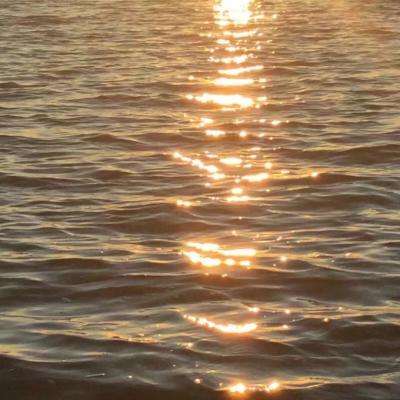 澳门4949资料免费大全app下载